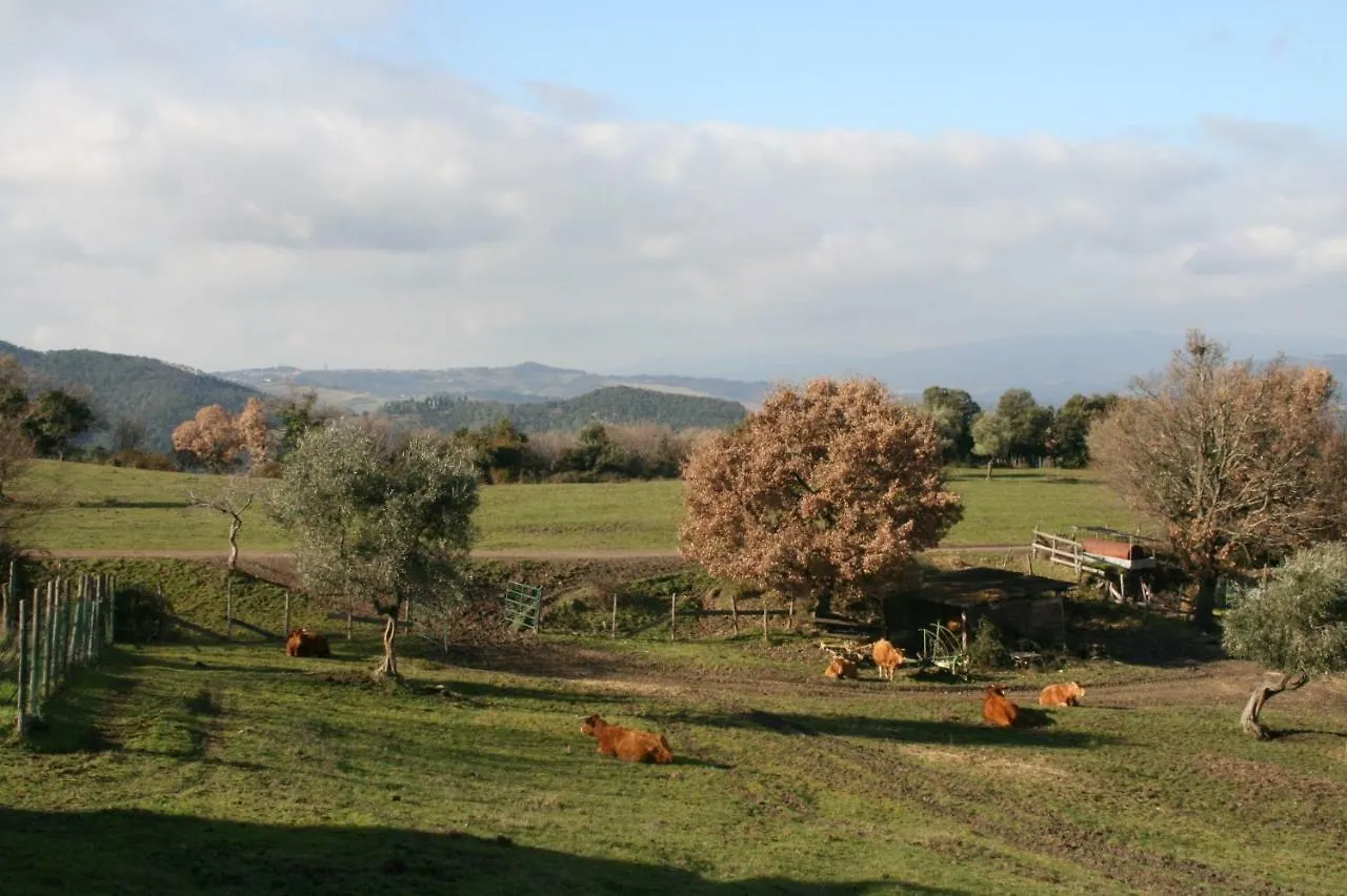 Farmhouse Tuscany Montecastelli Pisano